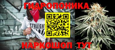 скорость Краснознаменск